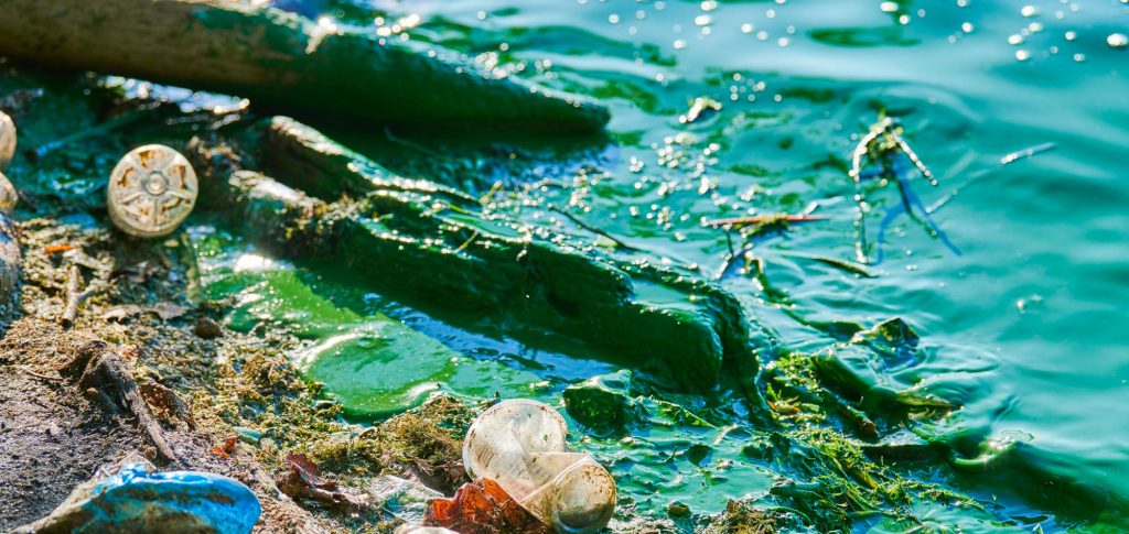 L&rsquo;impact environnemental de l’industrie du textile et de la mode