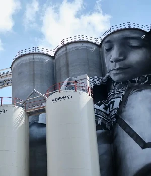 Systèmes de management environnemental