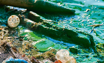 Impacts environnementaux et solutions dans le textile